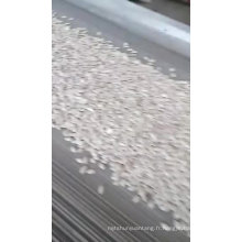 2019nouvelle neige blanche aux graines de citrouille avec une entreprise chinoise de bonne qualité